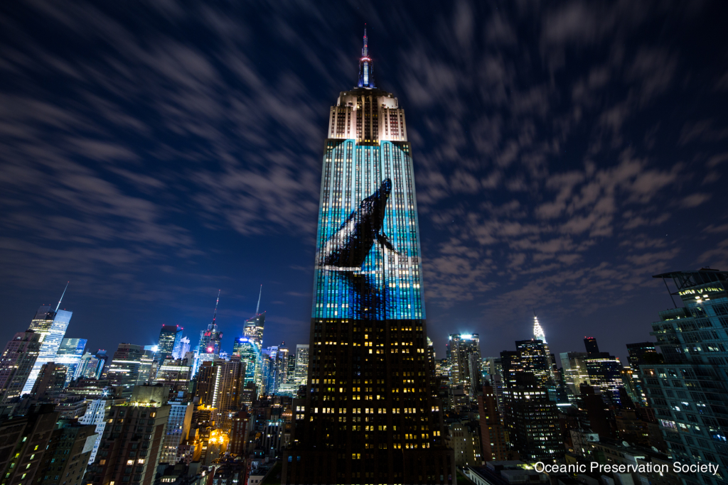 The Empire State Building was illuminated for three hours with video and photos of the world’s endangered species in a collaborative effort of the Oceanic Preservation Society and the filmmakers of “Racing Extinction.” Photo credit: Oceanic Preservation Society